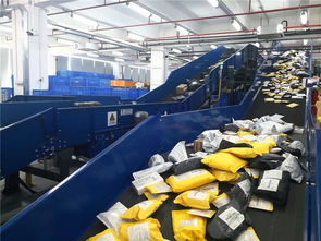 东莞制造乘跨境电商东风，货物进出口实现跨越式增长