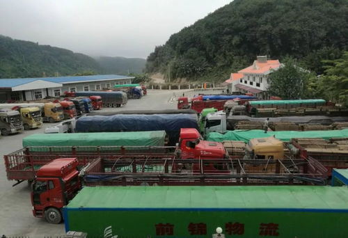 关累港口联合党工委 以国门党建固边兴边 促边境发展繁荣稳定 助力货物进出口腾飞