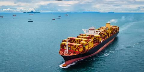 上半年我国货物贸易进出口展现韧性，总额同比增长2.9%