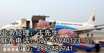 高效通关，无忧贸易 全面解析进出口清关物流代理