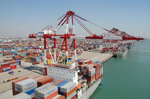 出口退运那些事 货物进出口中的常见问题与应对策略